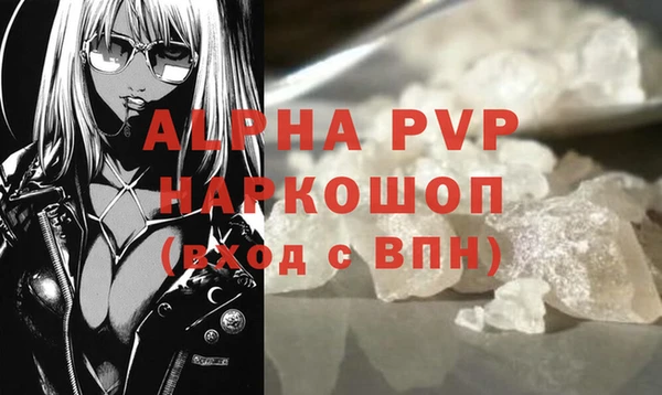 индика Вязники