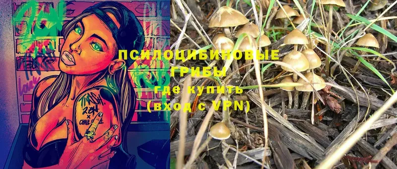 МЕГА зеркало  Благодарный  Псилоцибиновые грибы MAGIC MUSHROOMS 